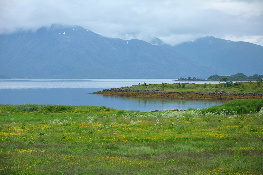 Lofoten rückwärts