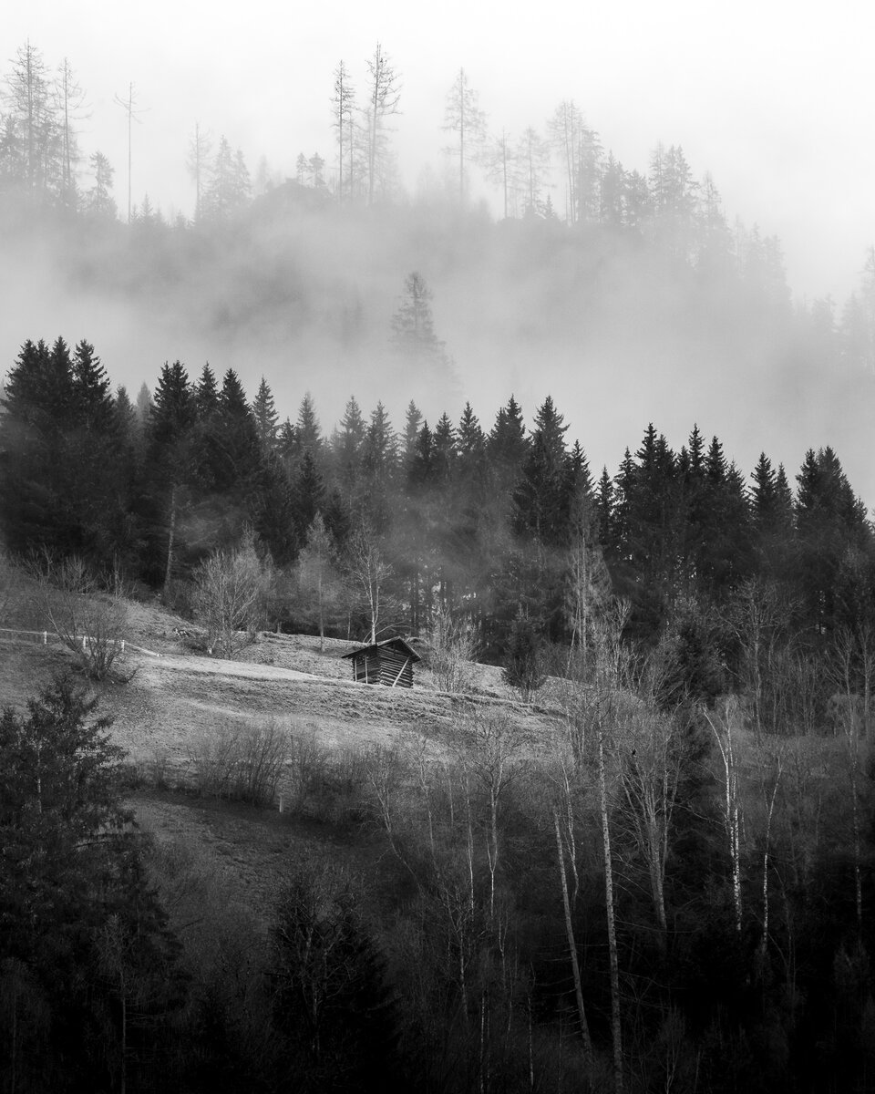 Lonely Shack