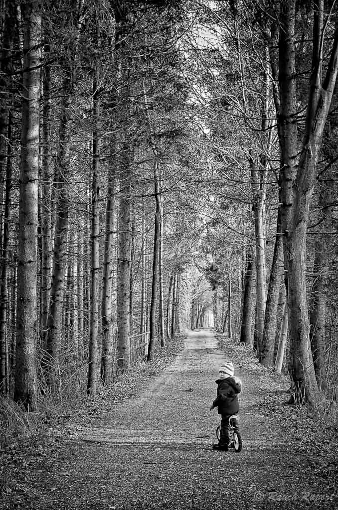 Long way home