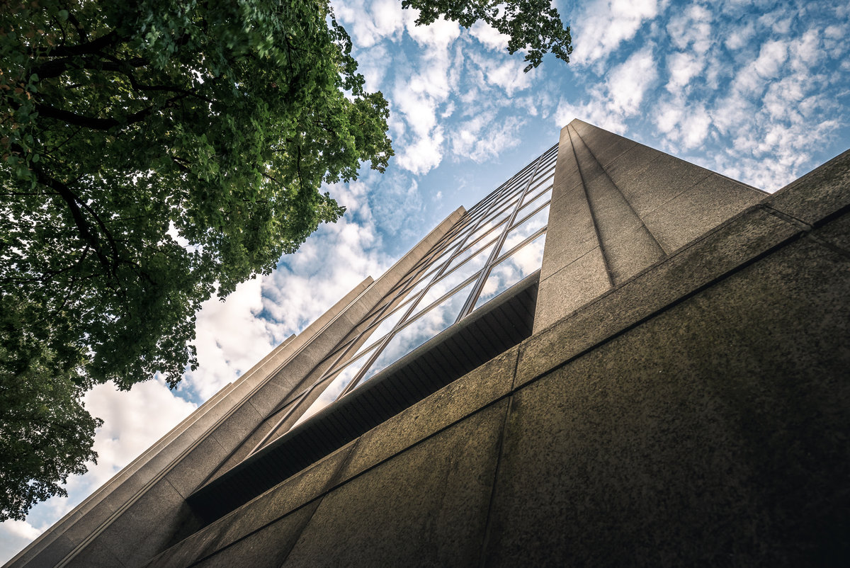 Looking Up