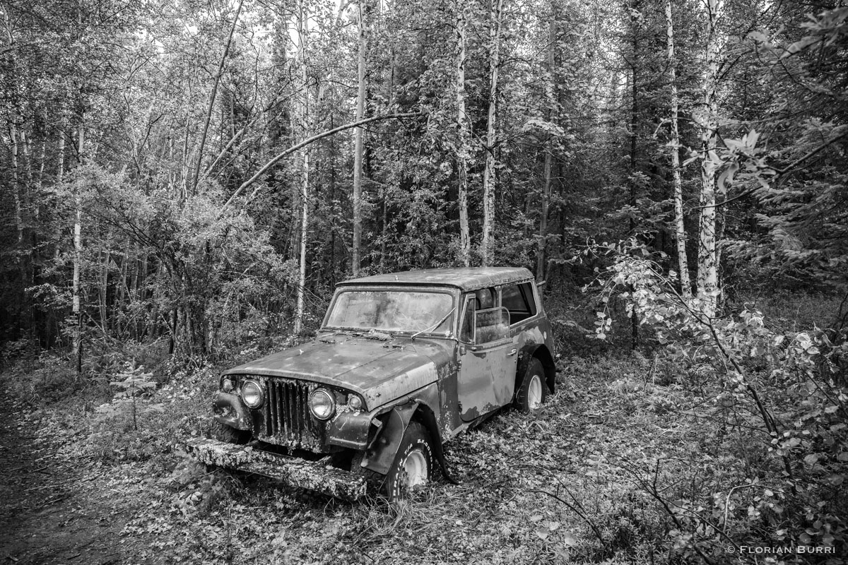 Lost in the Yukon