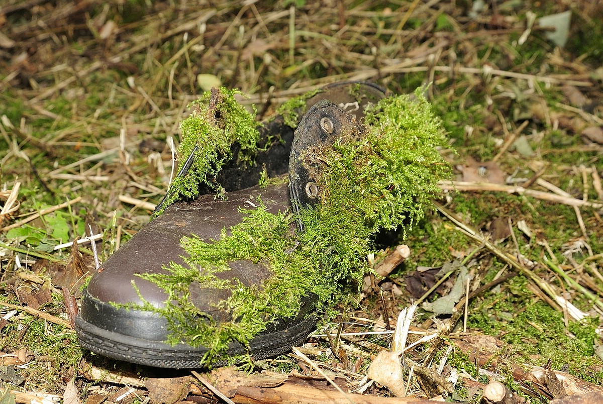 Lost Schuh DSC0081