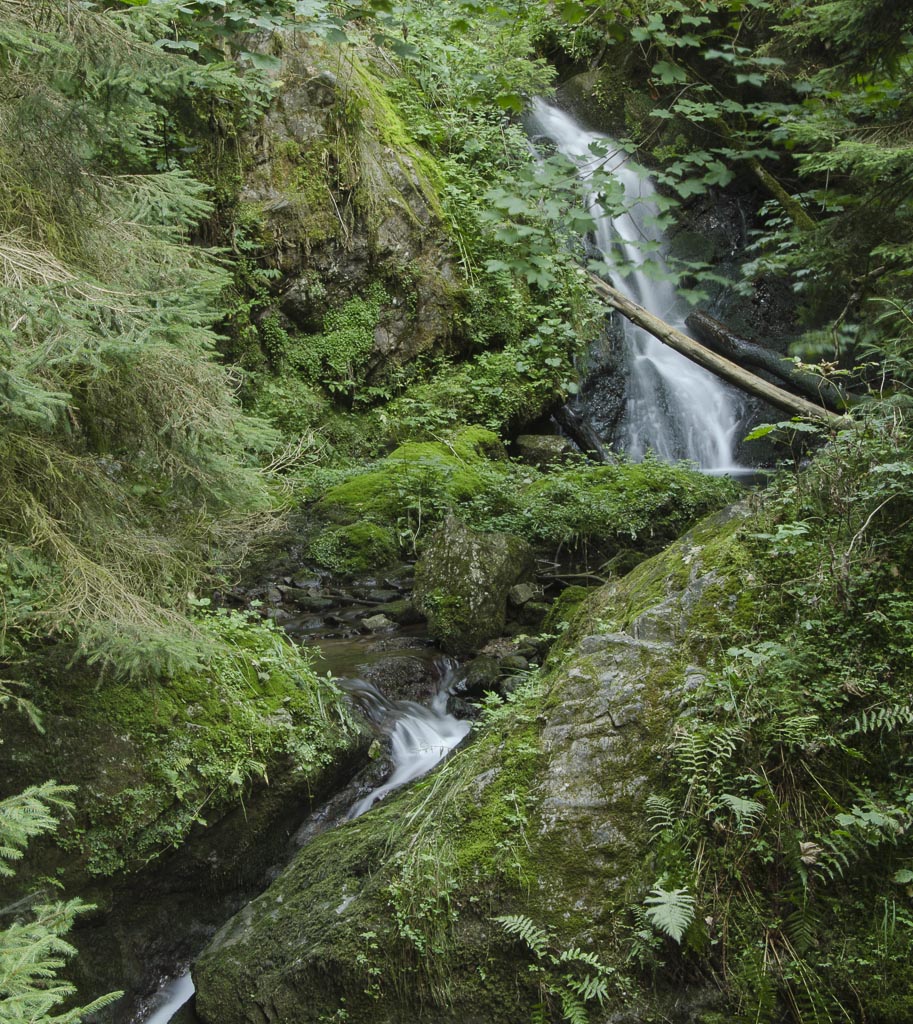 Lotenbach1 neu