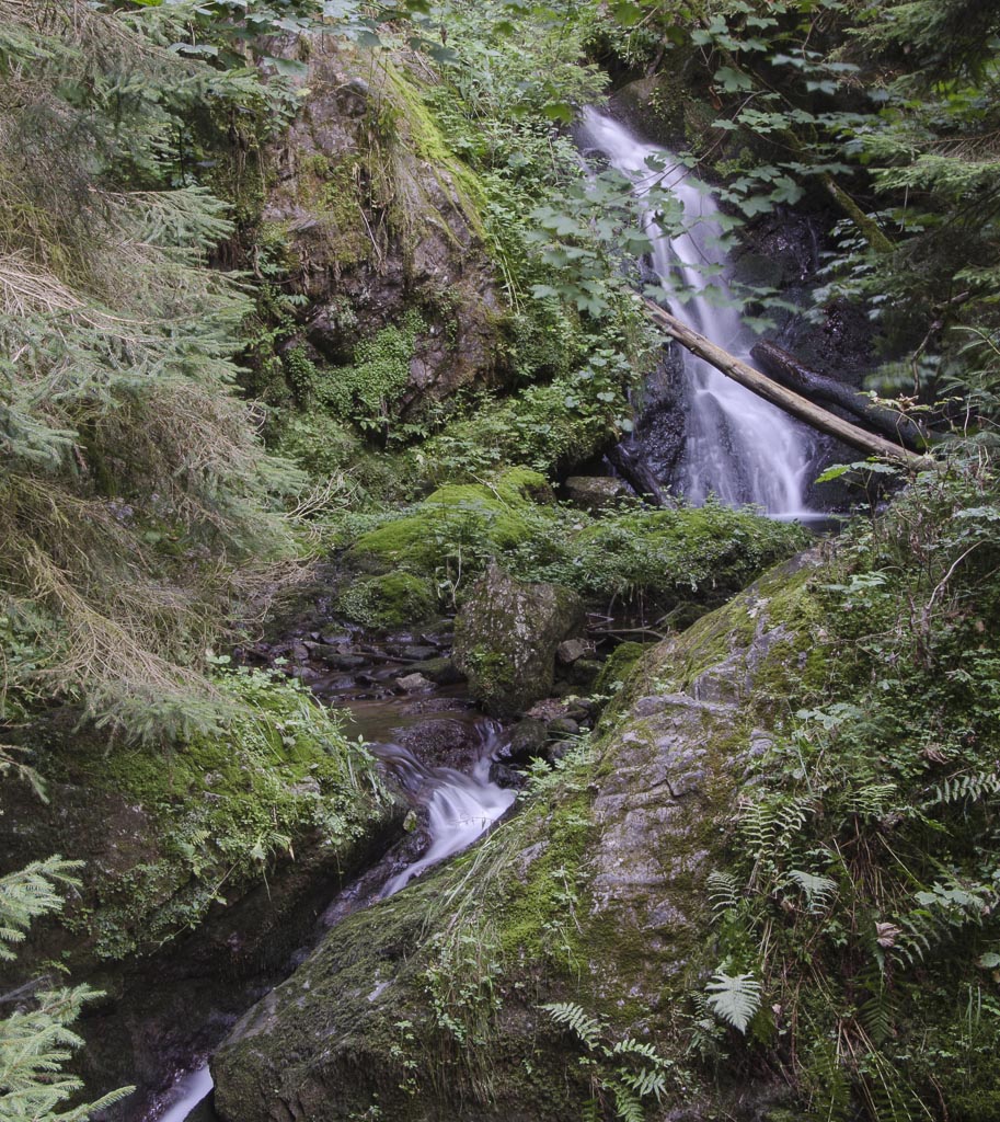Lotenbach1