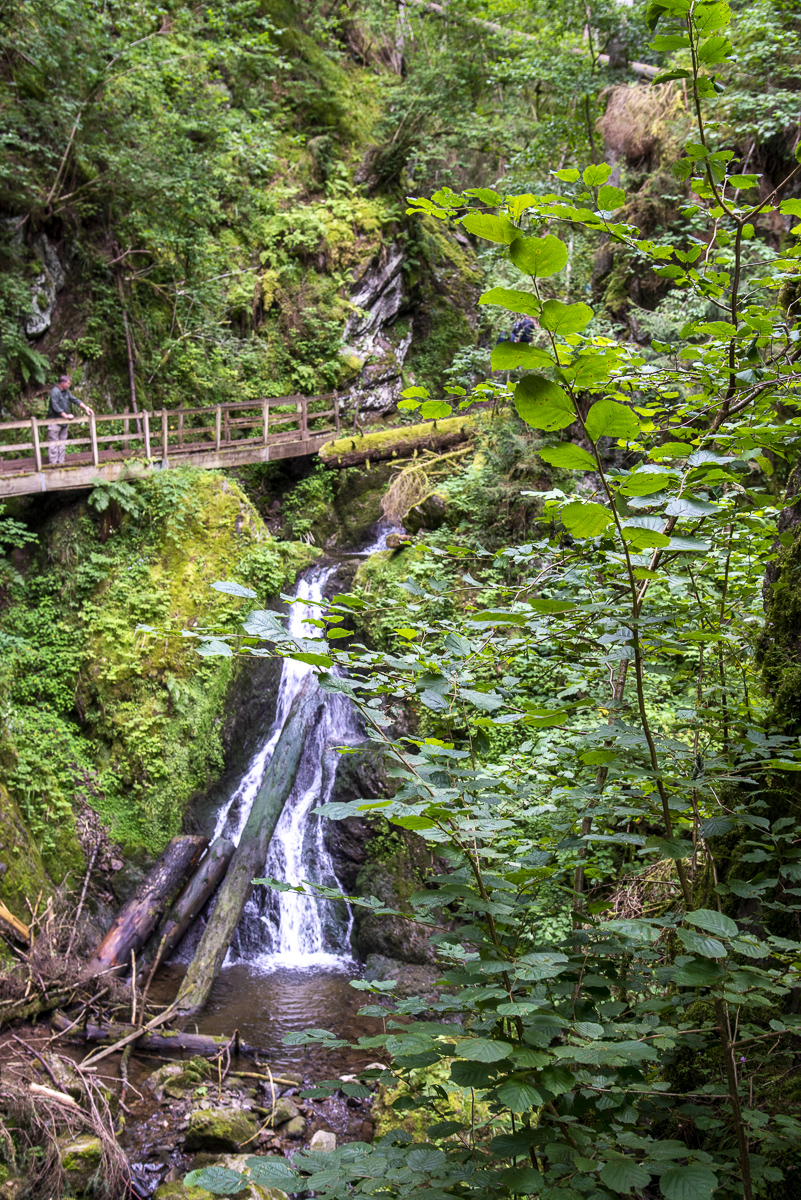 Lotenbachwasserfall.jpg