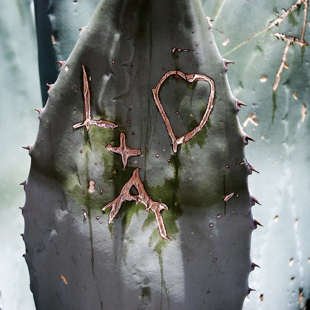 love hurts