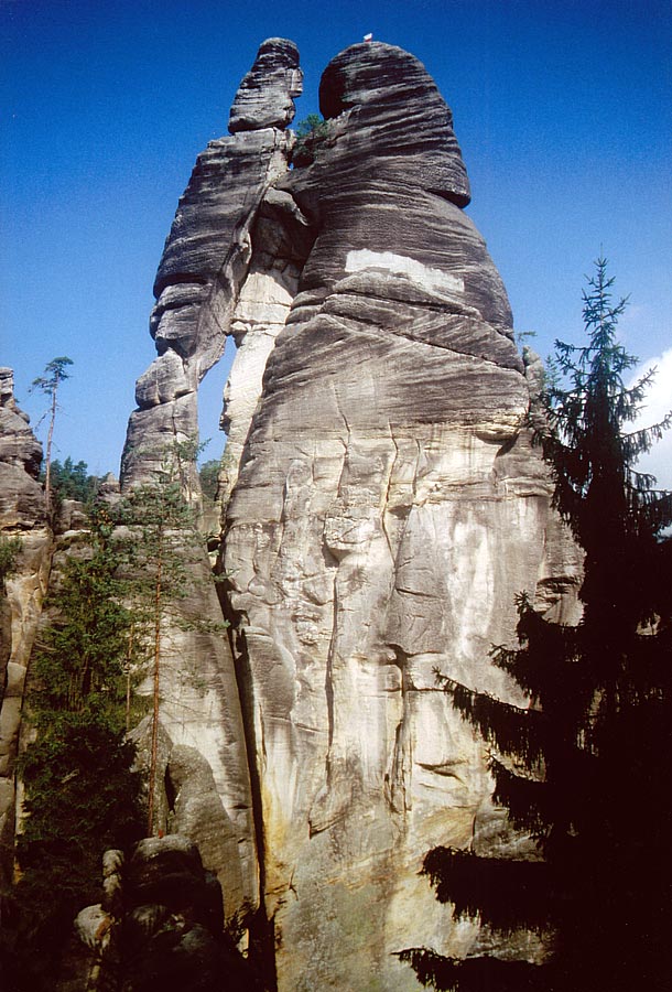 Lpaar