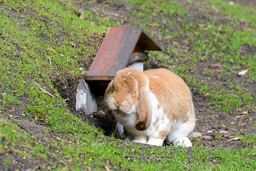 LR5.7, ISO 400, 1/800 Sek. bei f/5,6, 320 mm.