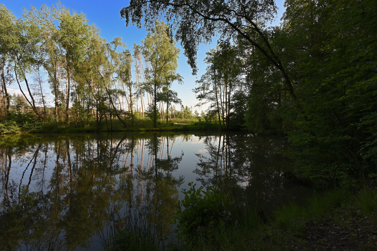 Ls6-24-12.JPG