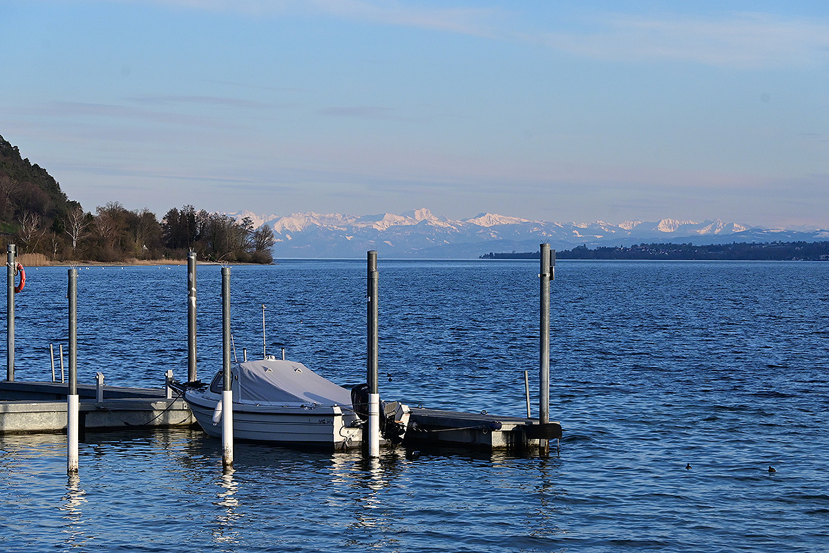 Ludwigshafen blick auf Alpen.jpg