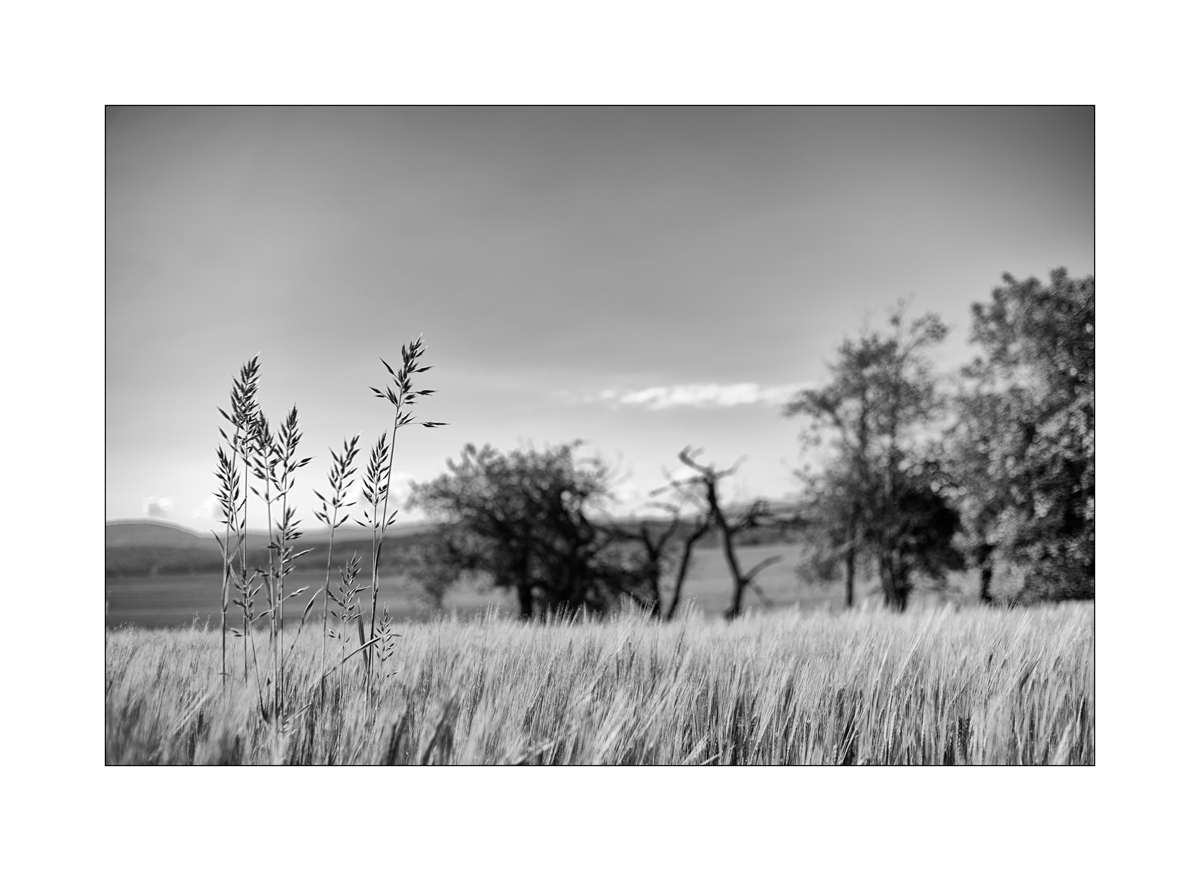 LugnezDSC_2091.jpg