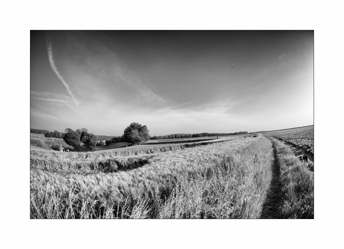 LugnezDSC_2174.jpg