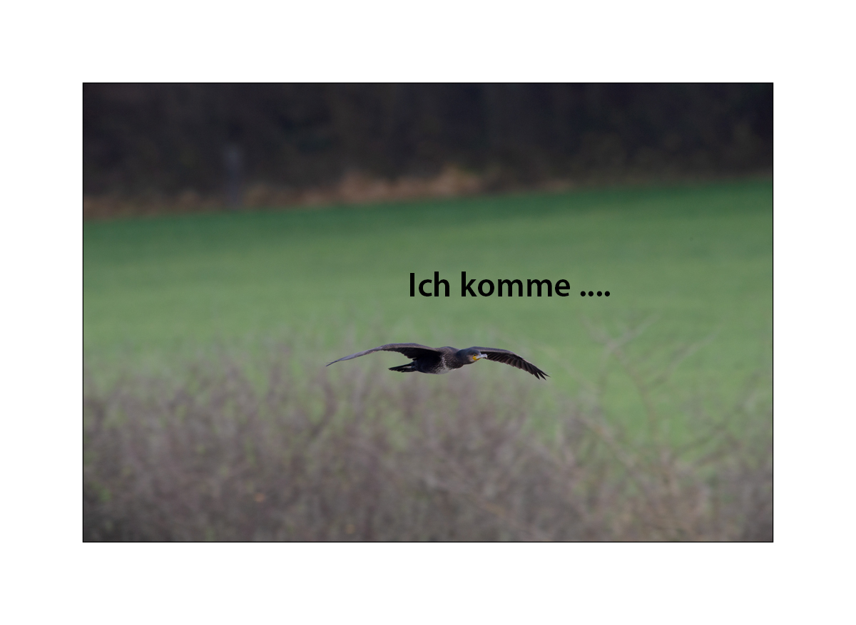 LugnezDSC_5714 Kopie.jpg