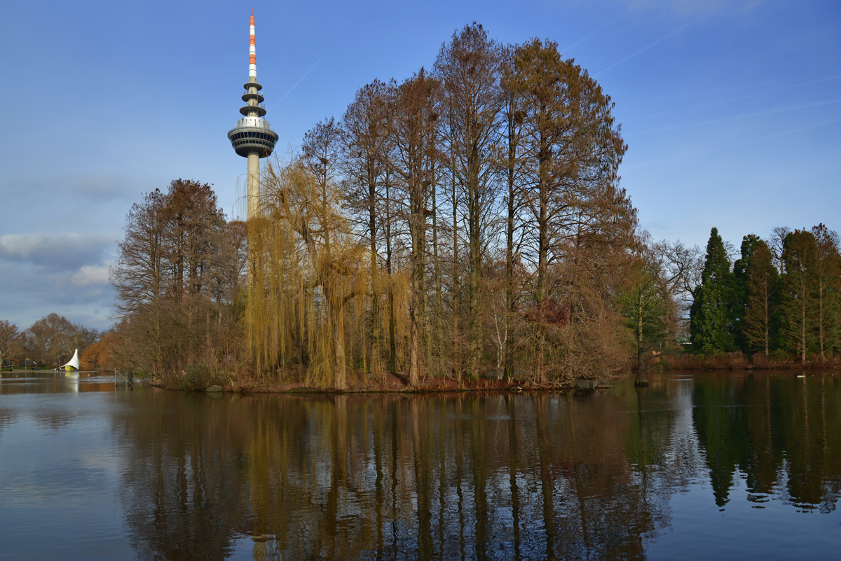 luisenpark