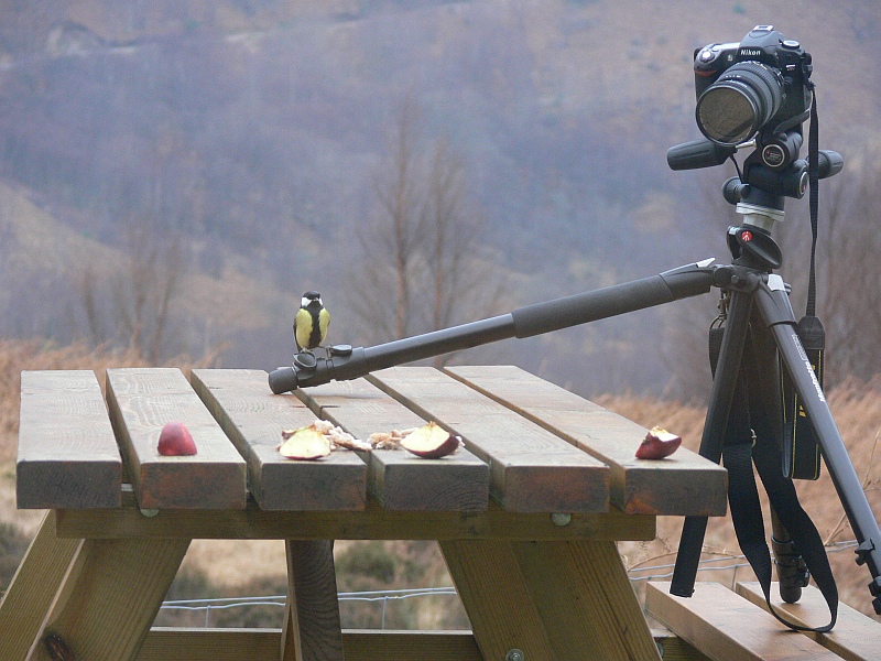 Lumix FZ30 - Warten auf den Frühstücksgast (durch das geschlossene Küchenfenster geschossen)