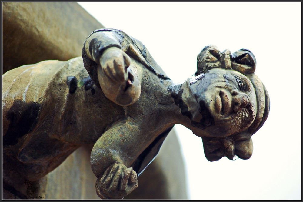 luna brunnen