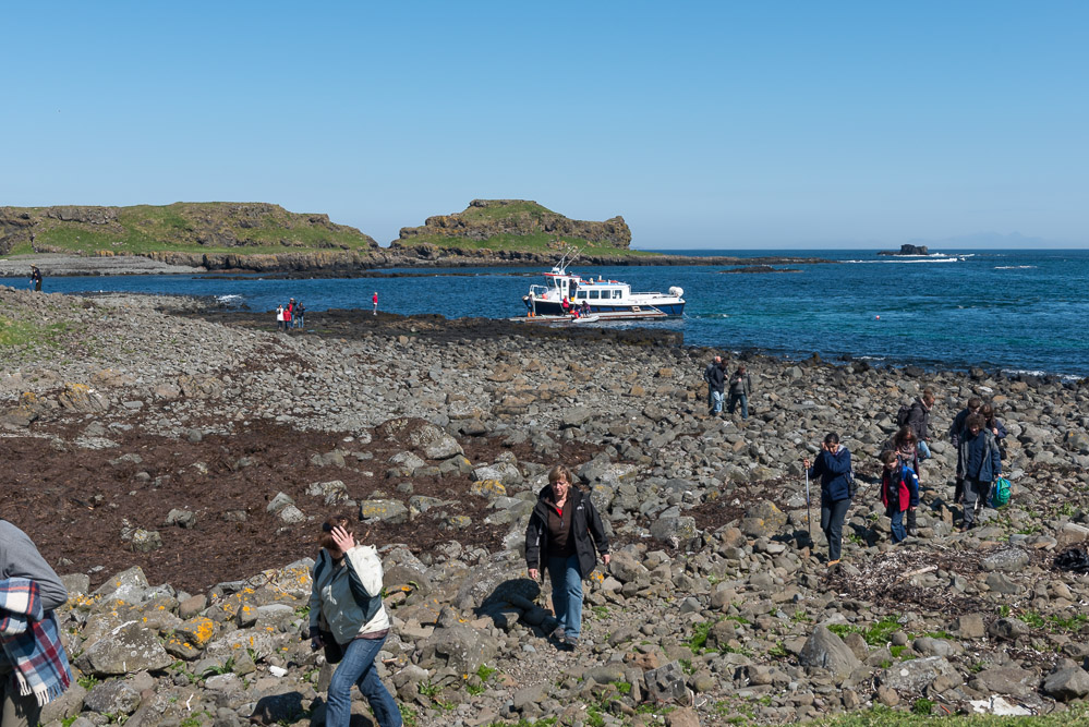 lunga 1