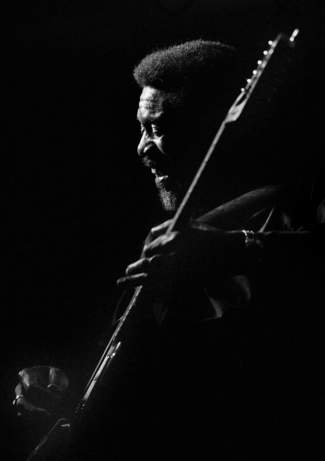 Luther Allison 3