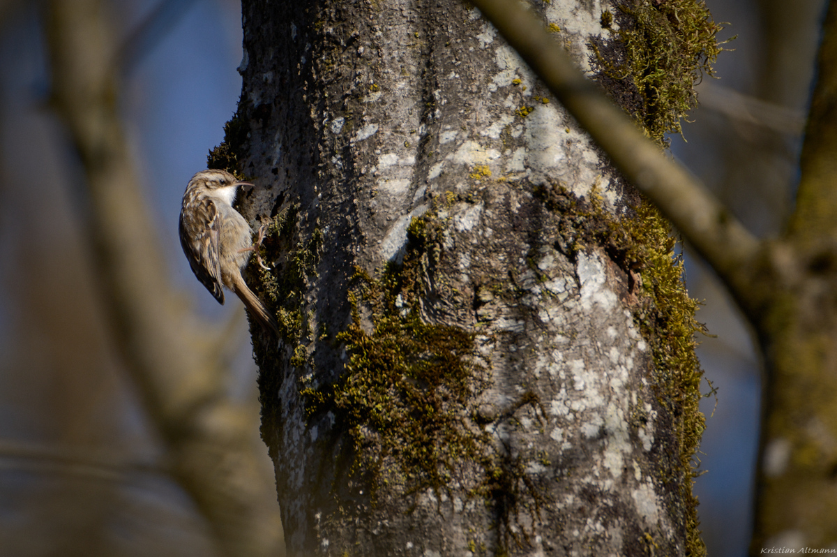 Mär 09 2022-10.jpg