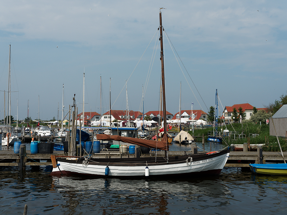 Möwe RER 036.jpg