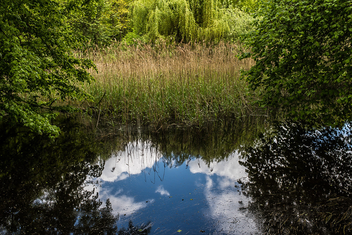 Mühlenteich (1 von 1).JPG