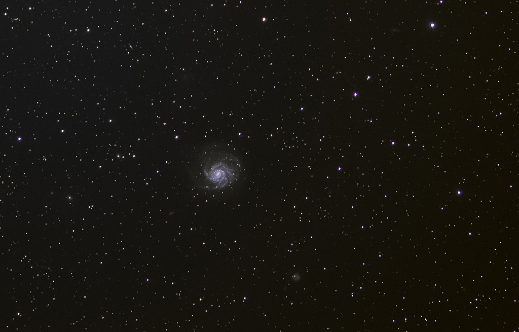 M51