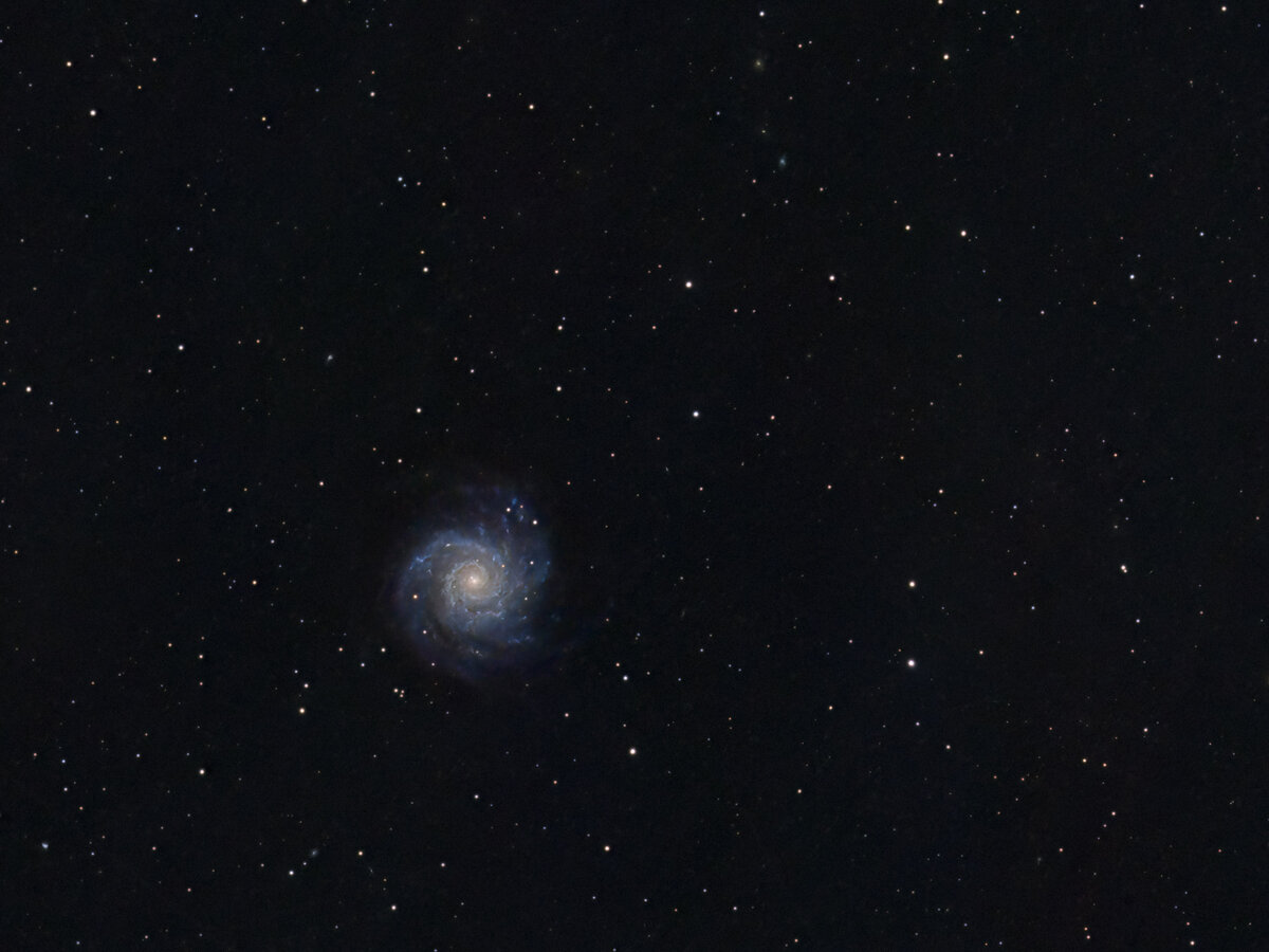 M74_web.jpg