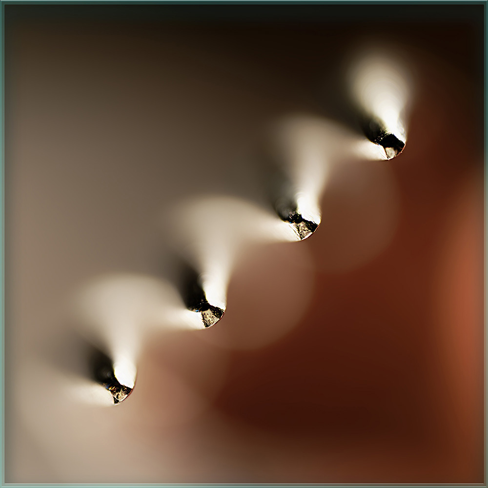 Macro-Gabel-2.jpg
