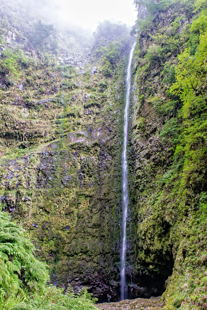 Madeira (29)