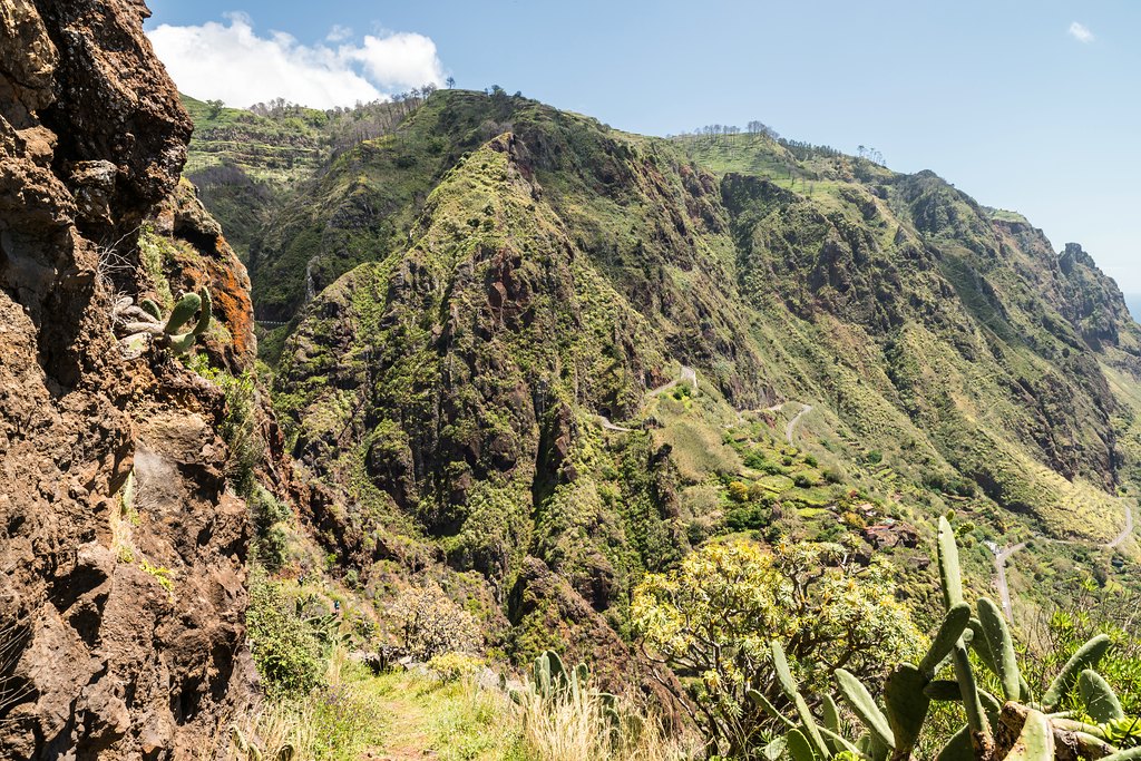 Madeira (60)