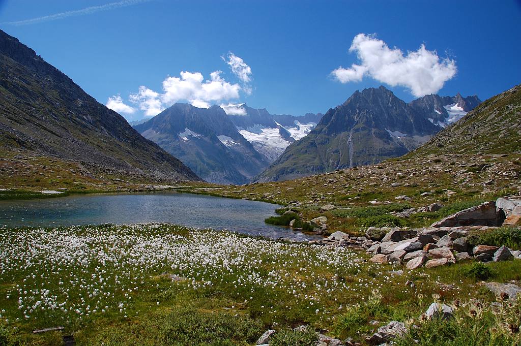Maerjelensee