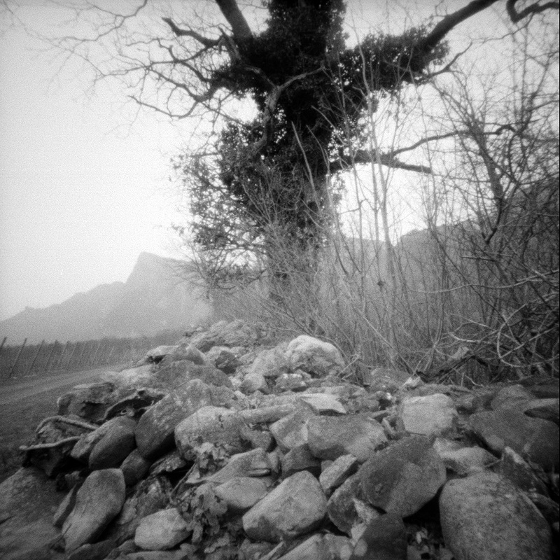 Maienfeld29.3.13.4.1.