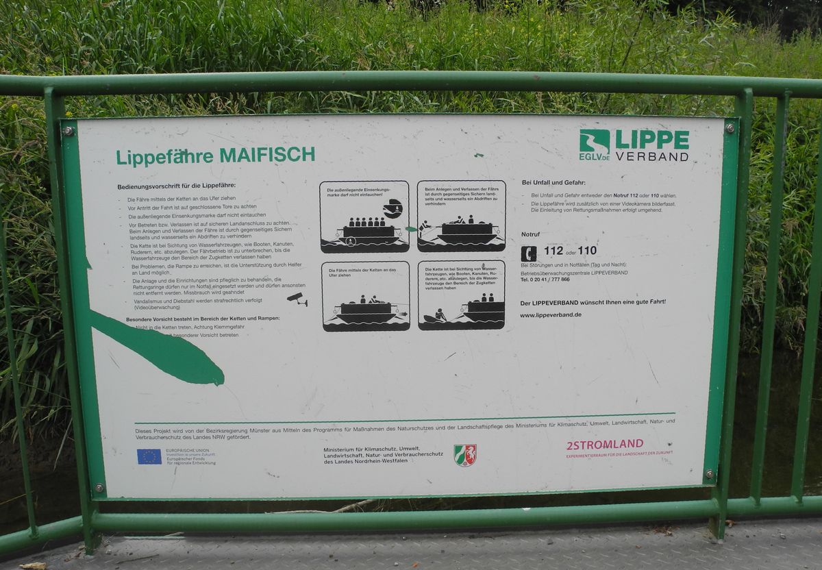 maifisch8792.jpg