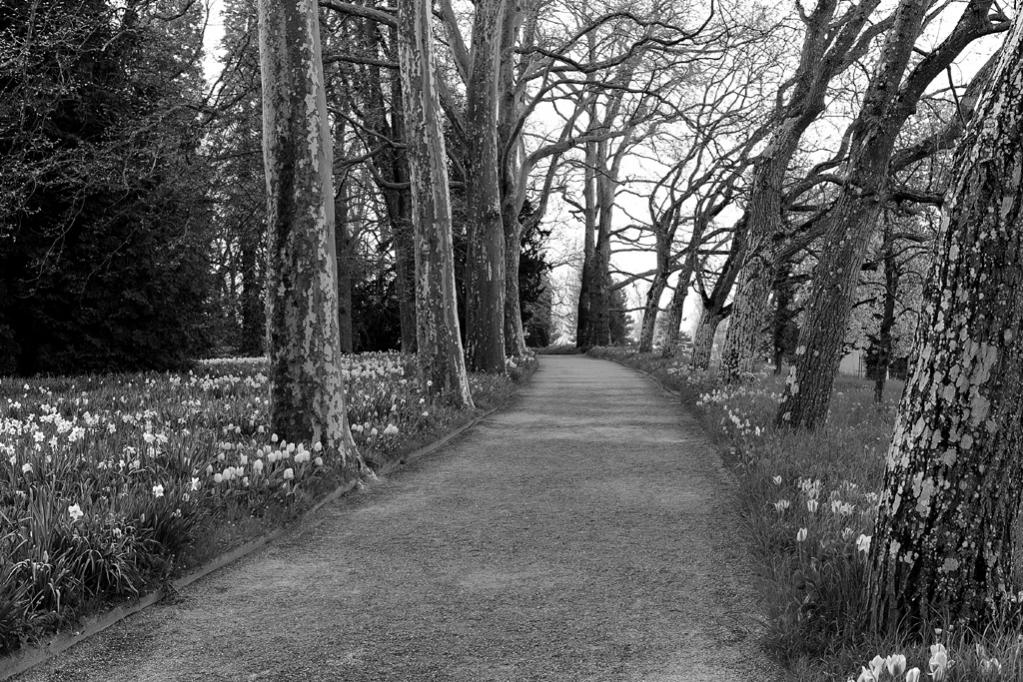 Mainau 001
