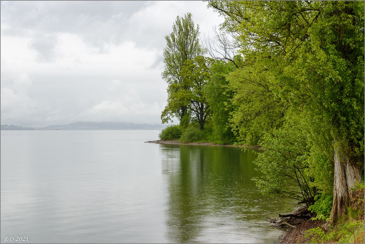 Mainau_Mai_2013-132.jpg