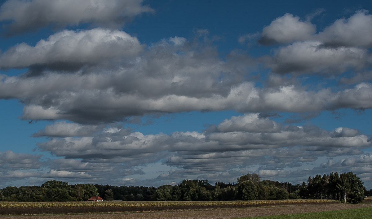 Maiswolken  (1 von 1).JPG