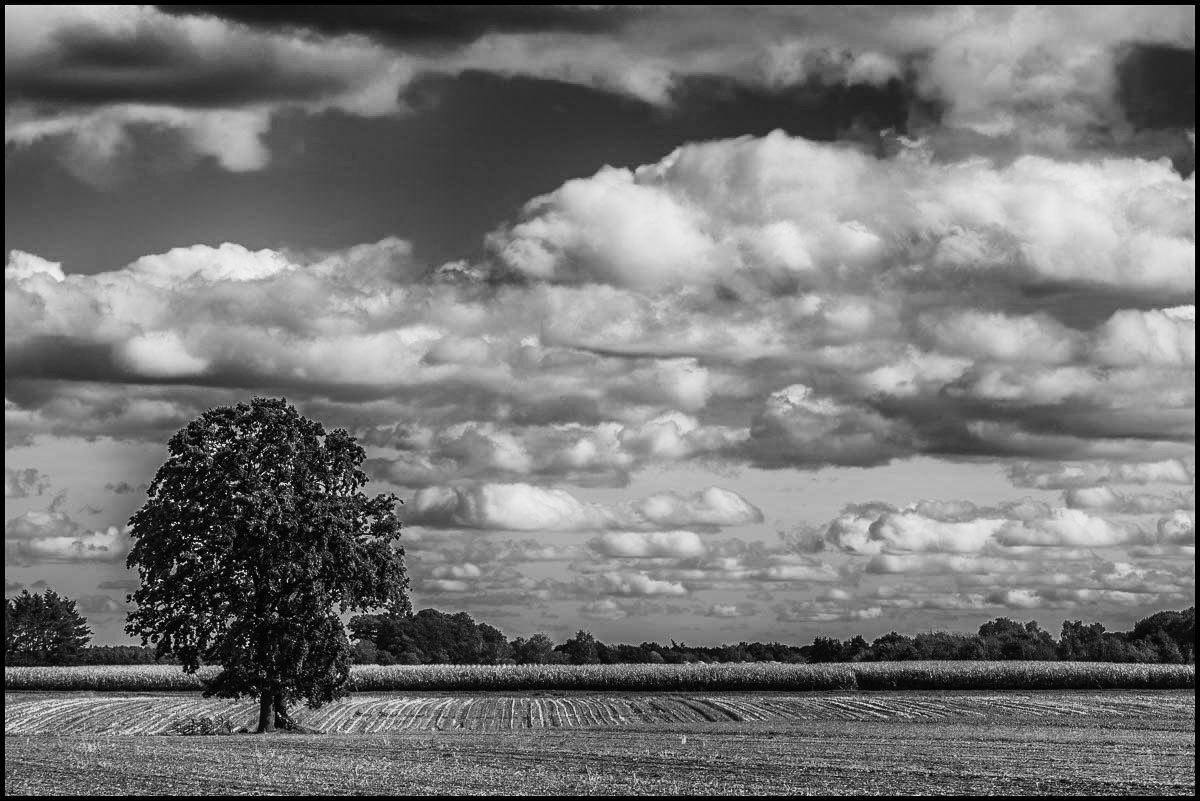 Maiswolken 2 (1 von 1).JPG