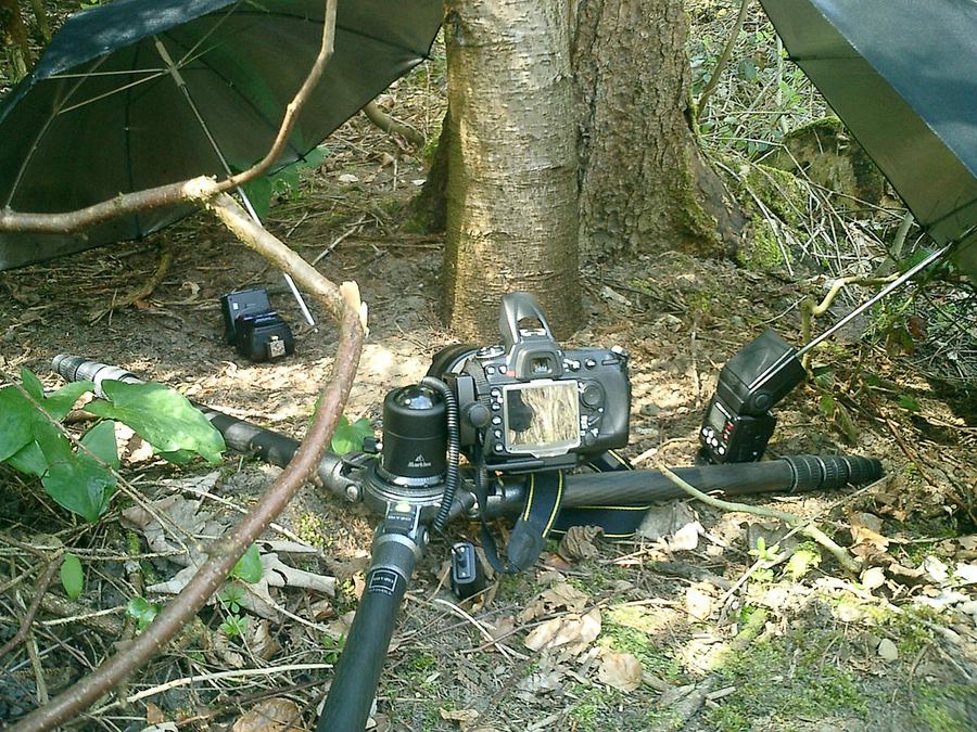 Making of