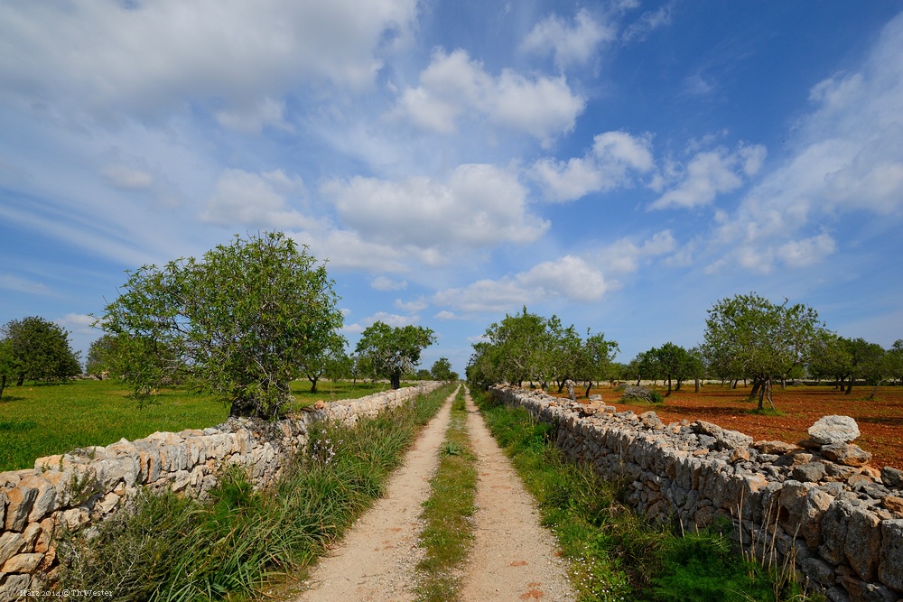 Mallorca (1)