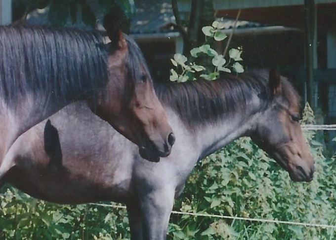 Mama und sohn