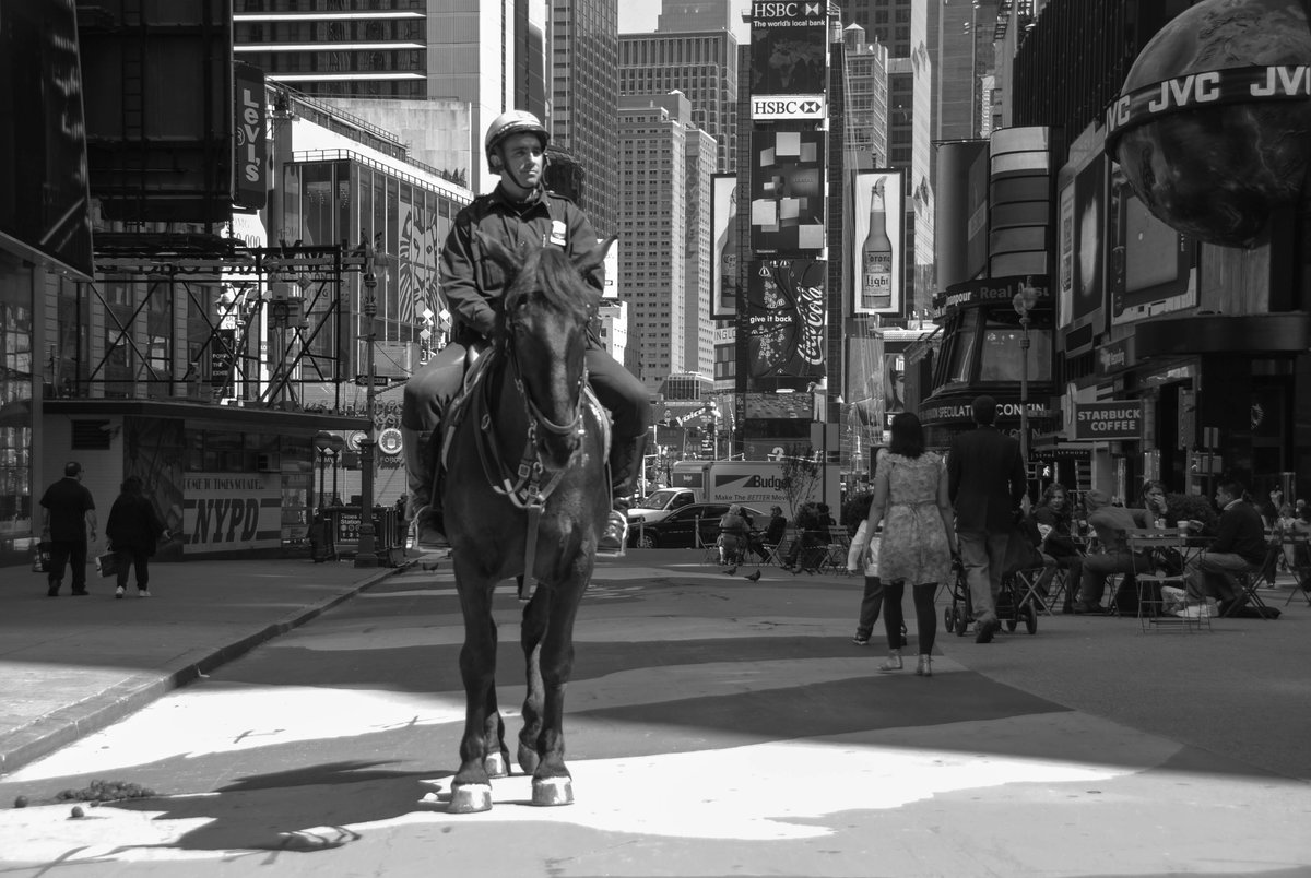 Manhattan Berittener Polizist SW.jpg