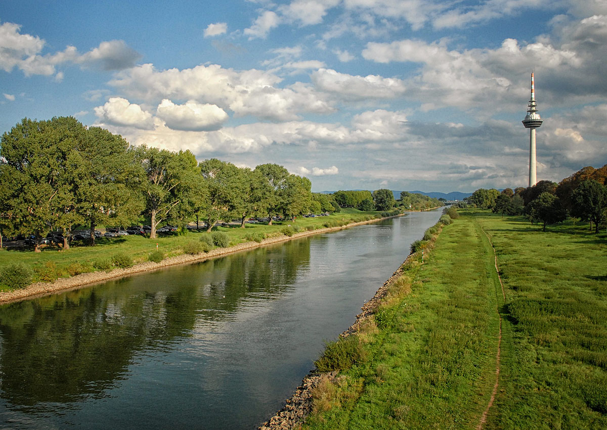 mannheim neckar 2017