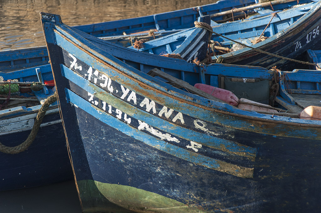 mar (70)
