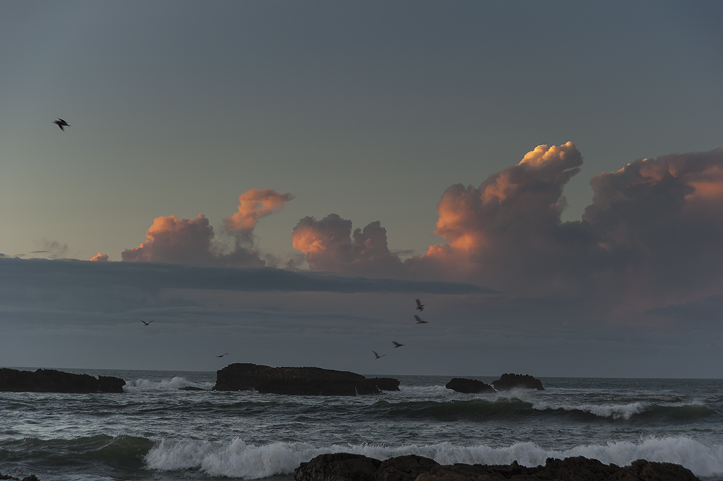 mar (73)