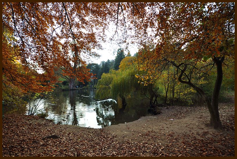 Marburg ABG 2010 DSD 2041 1