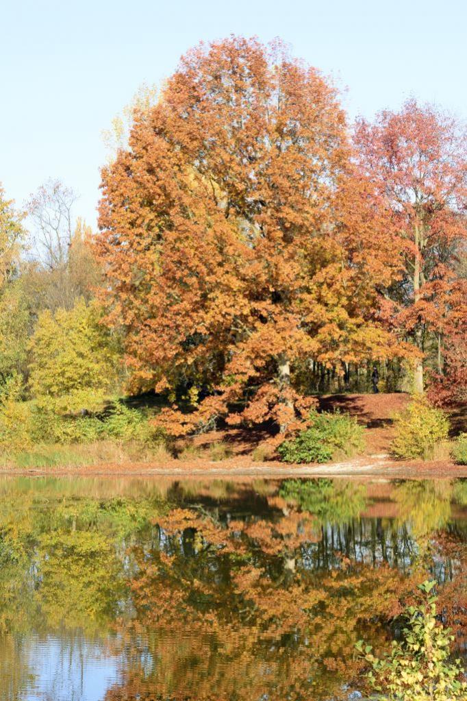 Marienberg Weiher