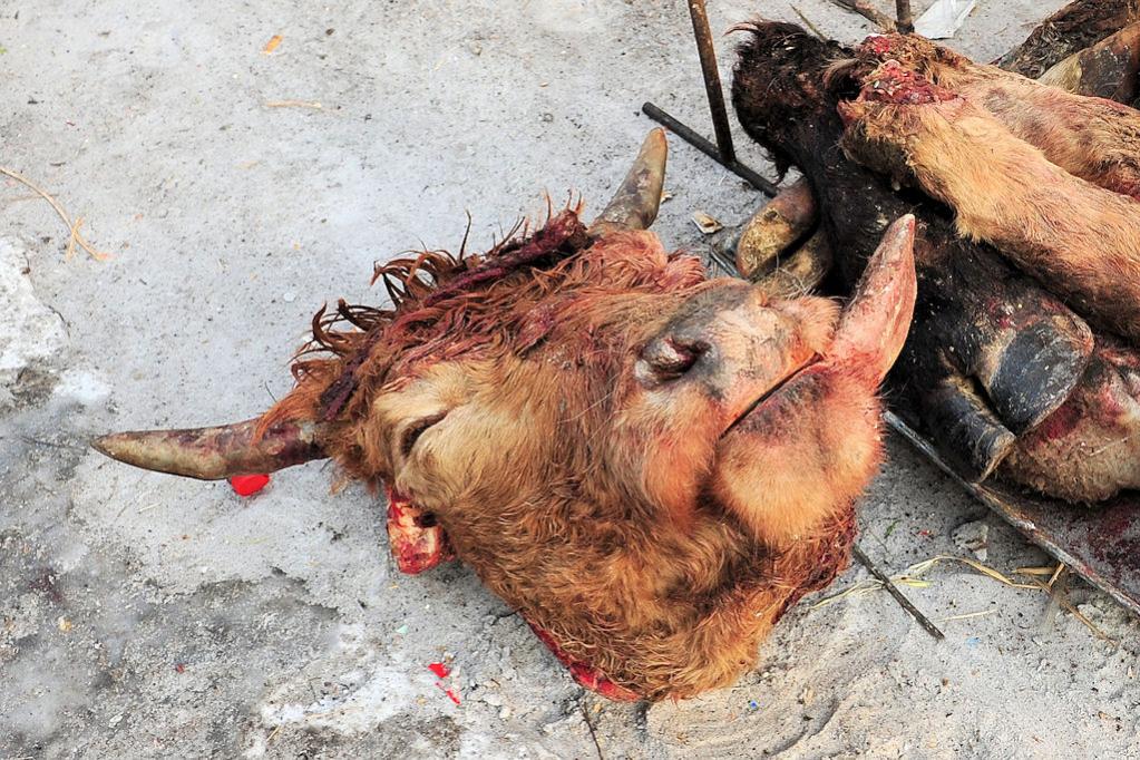 Markt in Huanan,
Kuhkopf steckt die Zunge raus
(9809)