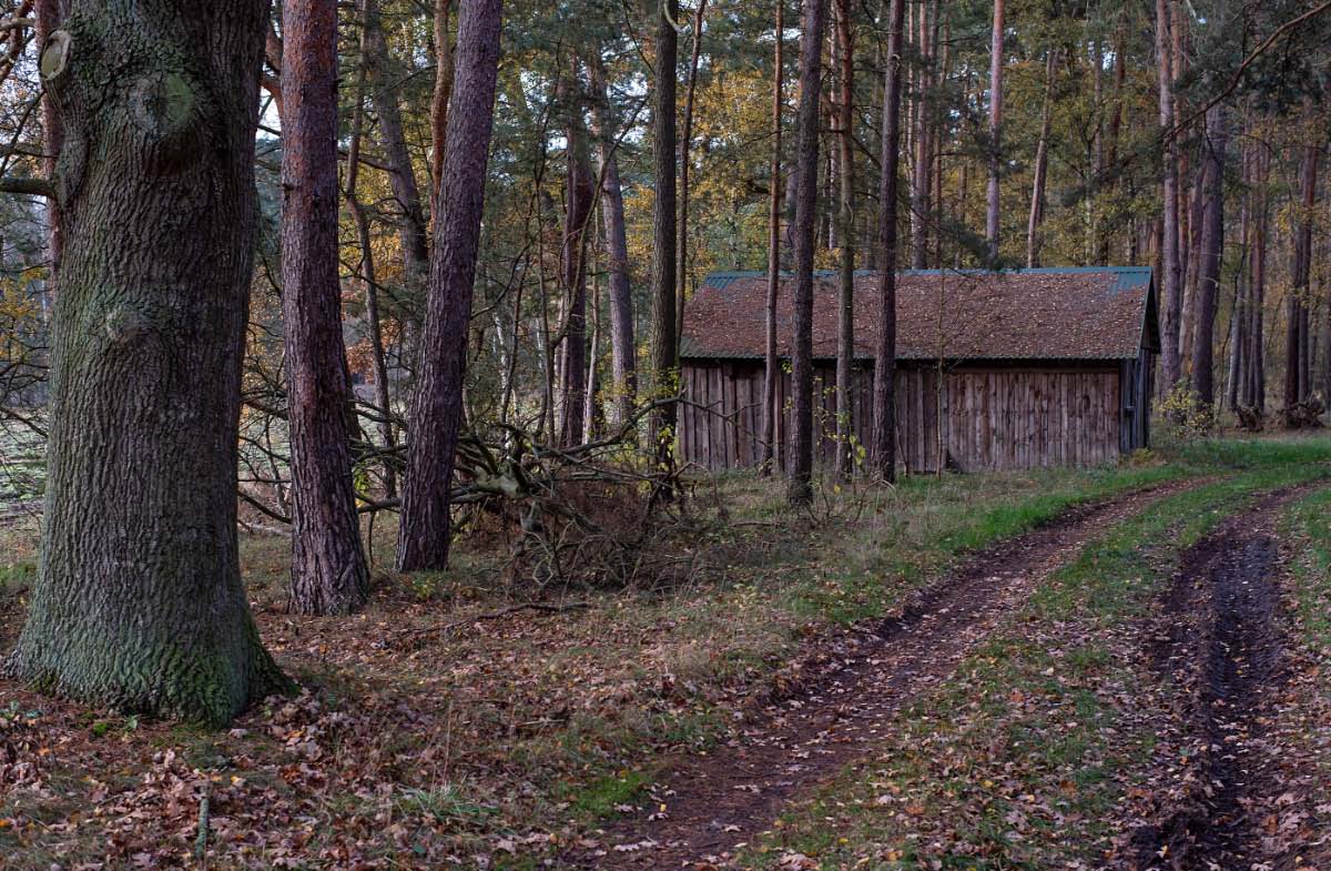 Maschinenschuppen im Wald.jpg