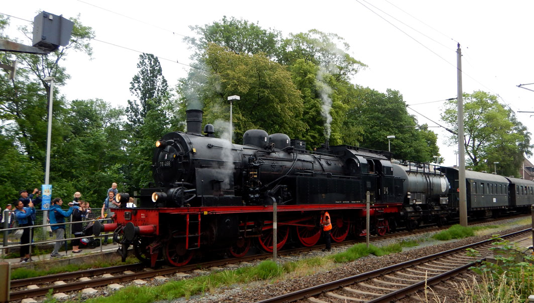 matjestrain.jpg