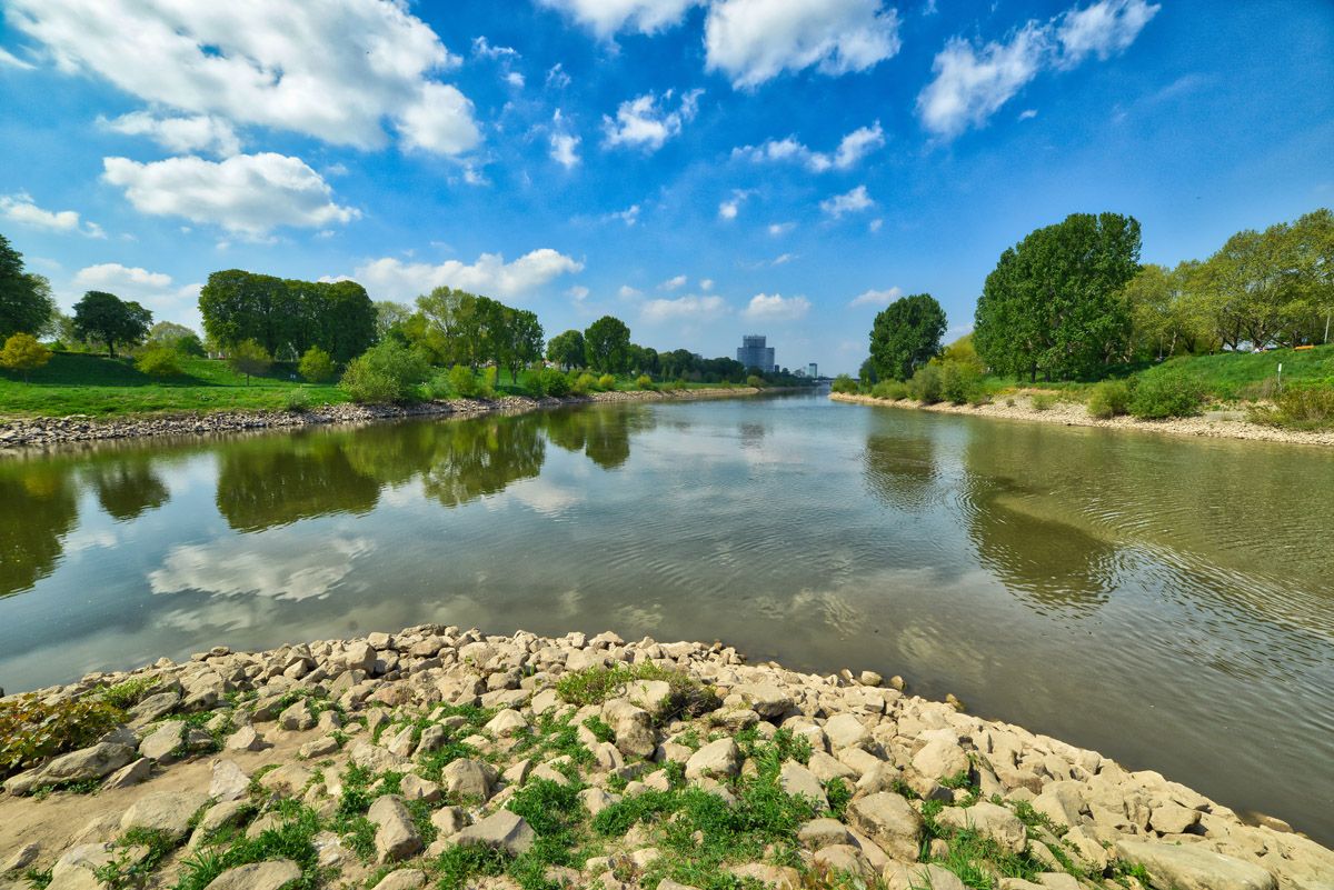 maulbeerinsel_1201.jpg